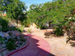 Casas Garden in San Felipe Baja California, downtown rental home - garden
